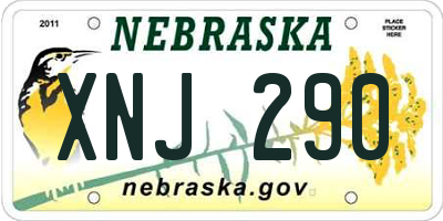 NE license plate XNJ290
