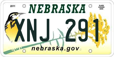 NE license plate XNJ291