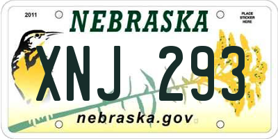NE license plate XNJ293