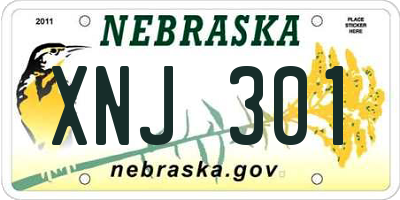 NE license plate XNJ301