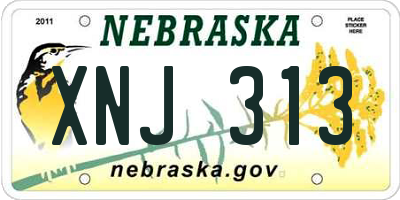 NE license plate XNJ313