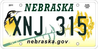 NE license plate XNJ315