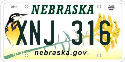 NE license plate XNJ316