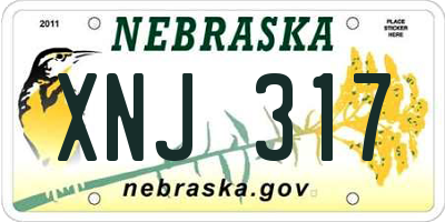 NE license plate XNJ317