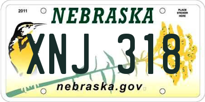 NE license plate XNJ318
