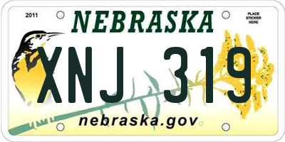NE license plate XNJ319