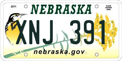 NE license plate XNJ391