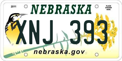 NE license plate XNJ393