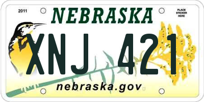 NE license plate XNJ421