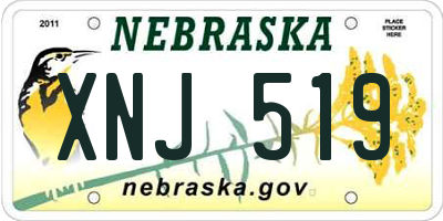 NE license plate XNJ519