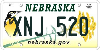 NE license plate XNJ520