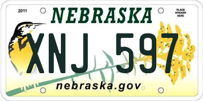 NE license plate XNJ597