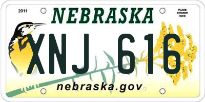 NE license plate XNJ616