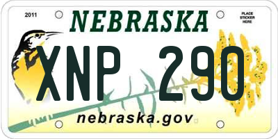 NE license plate XNP290