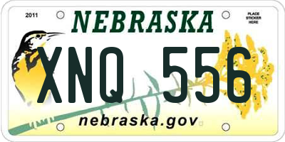NE license plate XNQ556