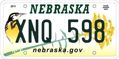 NE license plate XNQ598