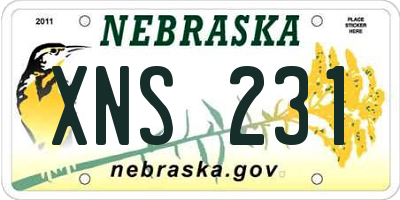 NE license plate XNS231