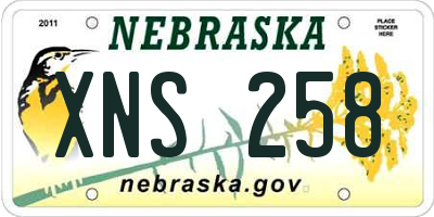 NE license plate XNS258