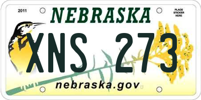 NE license plate XNS273