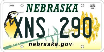 NE license plate XNS290
