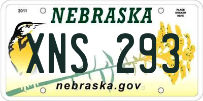 NE license plate XNS293