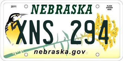NE license plate XNS294