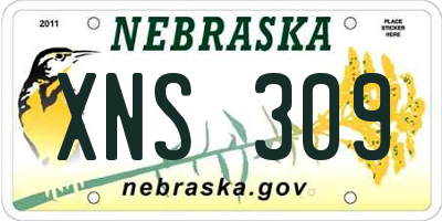 NE license plate XNS309