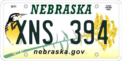 NE license plate XNS394