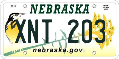NE license plate XNT203