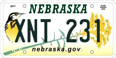 NE license plate XNT231