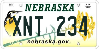 NE license plate XNT234