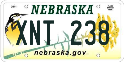 NE license plate XNT238