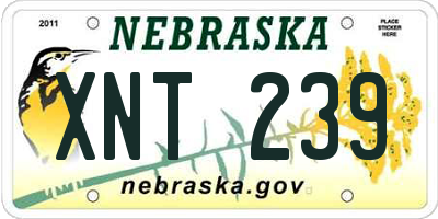 NE license plate XNT239