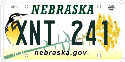 NE license plate XNT241