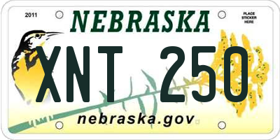 NE license plate XNT250