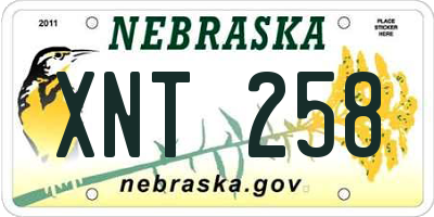 NE license plate XNT258