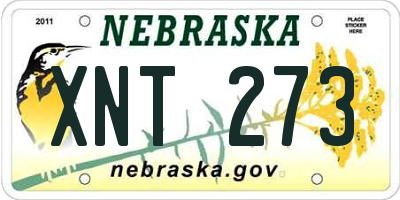 NE license plate XNT273