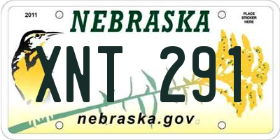 NE license plate XNT291