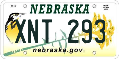 NE license plate XNT293