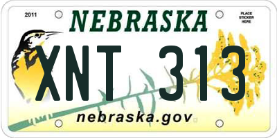 NE license plate XNT313