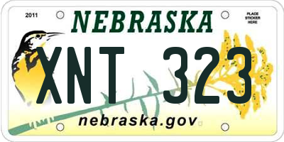 NE license plate XNT323