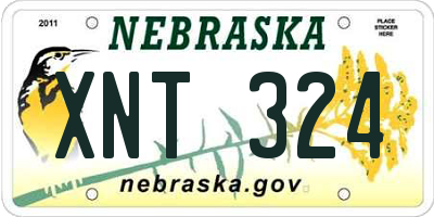 NE license plate XNT324