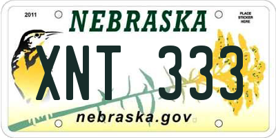 NE license plate XNT333
