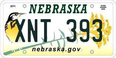 NE license plate XNT393