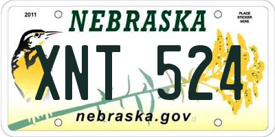 NE license plate XNT524