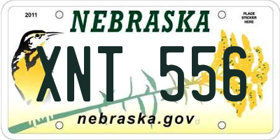 NE license plate XNT556