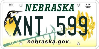NE license plate XNT599