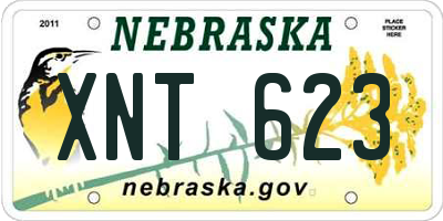 NE license plate XNT623