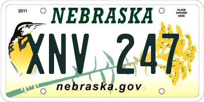 NE license plate XNV247