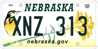 NE license plate XNZ313